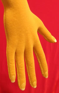 Acrylic fingernails applied to mannequin hands